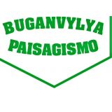 Buganvylya Paisagismo