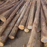 Escora Forte Com�rcio de Madeiras