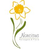 Narcisus Paisagem e Flora