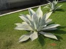 PAISAGISMO E JARDINAGEM - CREDENCIAMENTO CREA/CRA/FPJ/SICAF
